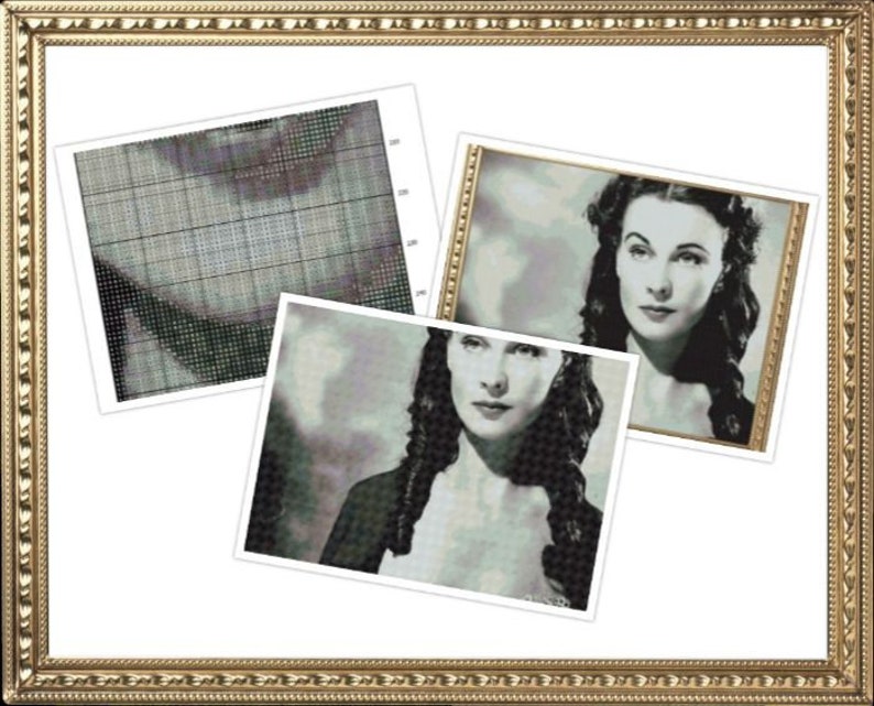May include: A black and white photo of a woman with dark hair and a white dress. The photo is framed in a gold frame.