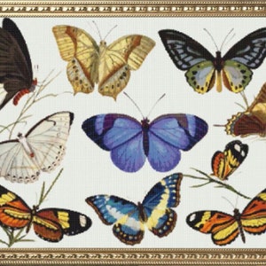 PDF Counted Vintage Cross Stitch Pattern | Butterflies | 2 Sizes | Highly Detailed Cross Stitch Pattern