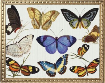 PDF Counted Vintage Cross Stitch Pattern | Butterflies | 2 Sizes | Highly Detailed Cross Stitch Pattern