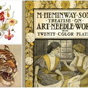 PDF Vintage Embroidery Pattern | A Treatise on Embroidery with Twenty Color Illustrations from Original Models | ENGLISH | Digital Download