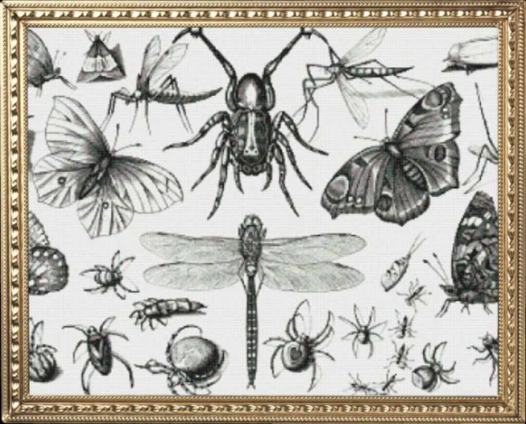 PDF Counted Vintage Cross Stitch Pattern | Engraving Joris