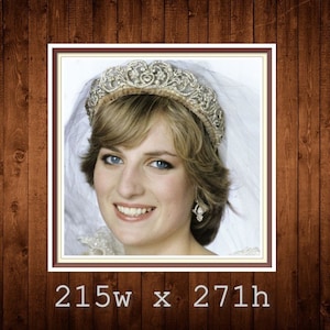 In Memory of Princess Diana | PDF Cross Stitch Pattern | Counted Vintage Highly Detailed Cross Stitch Pattern | 215w x 271h stitches