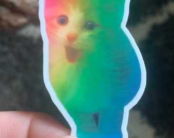 Rainbow technicolor kitty cat kitten vinyl sticker decal cat mom cat dad