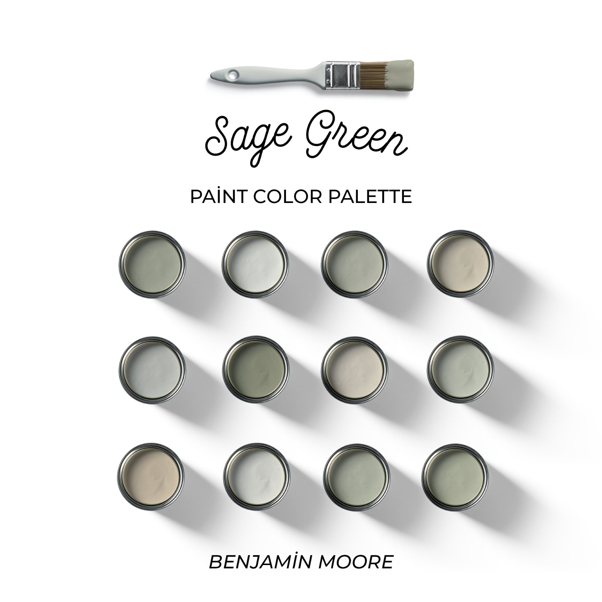 Sherwin Williams Clary Sage Palette, Sage Green Color Palette, Bestselling Green  Paint Colors, Complementary Whole House Paint Colors 