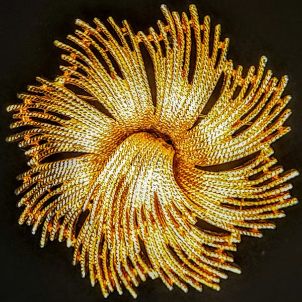 Flower Burst Brooch (Tangerine) main image 0