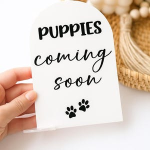 Mise à jour hebdomadaire des étapes clés du développement des chiots, chatons et bébés par l'éleveur avec de l'acrylique transparent pour accessoire photo de chien, cartes d'étapes clés pour chiens, étapes clés pour animaux