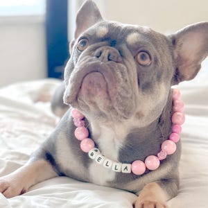 Friendship Dog Collar and Bracelet Set, Beaded Matching Collar for Dog & Owner, Elegant Handmade Pet Accessory, Gift for Pet Lovers