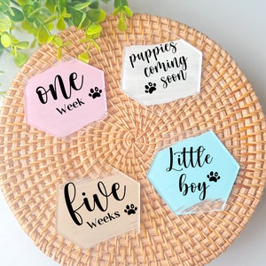 Mise à jour hebdomadaire des étapes clés des chiots et chatons de l'éleveur avec de l'acrylique transparent | pour accessoire photo de chien, cartes d'étapes pour chien | disque marquant pour chien