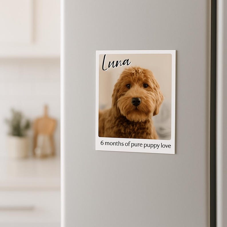 K&ouml;nnte beinhalten: Ein rechteckiger Magnet mit einem Foto eines braunen Golden Doodle Welpen. Der Welpe hat ein flauschiges Fell. Der Name "Luna" steht in Schreibschrift &uuml;ber dem Foto. Der Text "6 Monate reines Welpenliebe" steht darunter.