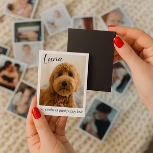 K&ouml;nnte beinhalten: Ein Foto im Polaroid-Stil mit einem Golden Doodle-Hund namens Luna. Das Foto wird in der N&auml;he eines schwarzen quadratischen Magneten gehalten. Auf dem Foto steht "Luna" und "6 Monate reine Welpenliebe". Weitere Fotos sind im Hintergrund zu sehen.