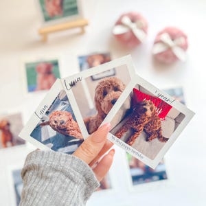 K&ouml;nnte beinhalten: Eine Sammlung quadratischer Fotos mit einem braunen Hund. Die Fotos werden in einer Hand gehalten, wobei der Hund verschiedene Posen einnimmt. Einige Fotos tragen den Namen "Luna" und den Text "My first puppy birthday".