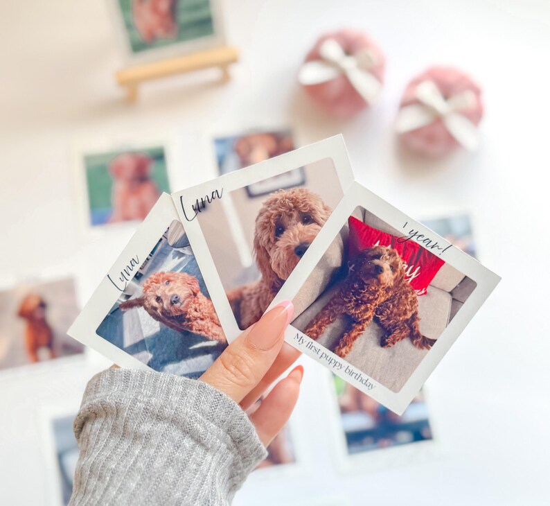 K&ouml;nnte beinhalten: Eine Sammlung quadratischer Fotos mit einem braunen Hund. Die Fotos werden in einer Hand gehalten, wobei der Hund verschiedene Posen einnimmt. Einige Fotos tragen den Namen "Luna" und den Text "My first puppy birthday".
