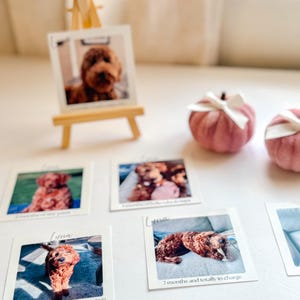K&ouml;nnte beinhalten: Eine kleine Holzstaffelei zeigt ein gerahmtes Foto eines braunen Hundes. Mehrere kleine Fotos desselben Hundes sind verstreut, zusammen mit zwei rosa Samtk&uuml;rbissen mit wei&szlig;en Schleifen. Die Fotos tragen den Text "Luna" und das Alter des Hundes.