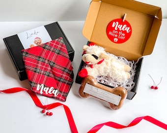 Dog Gift Box Christmas dog box custom dog gift box dogs first christmas dog lover gift box holiday dog treat box personalized dog box
