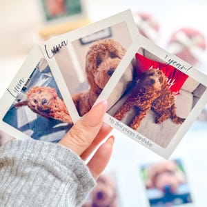 Personalized photo magnets Polaroid style custom magnets pet photo fridge magnet gift for family friends pet parents birthday anniversary custom photo keepsake unique fridge decoration personalized pet gift memory magnets photo display gift for loved ones custom Polaroid magnet pet lover gift home decor