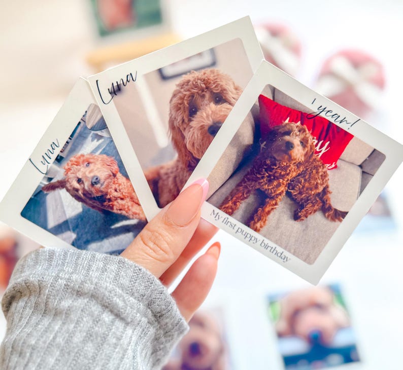 Personalized photo magnets Polaroid style custom magnets pet photo fridge magnet gift for family friends pet parents birthday anniversary custom photo keepsake unique fridge decoration personalized pet gift memory magnets photo display gift for loved ones custom Polaroid magnet pet lover gift home decor