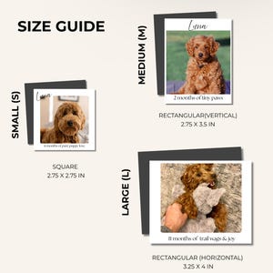 K&ouml;nnte beinhalten: Ein Gr&ouml;&szlig;enleitfaden zeigt drei Fotos von Hunden, beschriftet mit Klein, Mittel und Gro&szlig;. Das kleine Foto ist quadratisch, 7 x 7 cm, mit dem Text "6 months of pure puppy love". Das mittlere Foto ist rechteckig, 7 x 9 cm, mit dem Text "2 months of tiny paws."