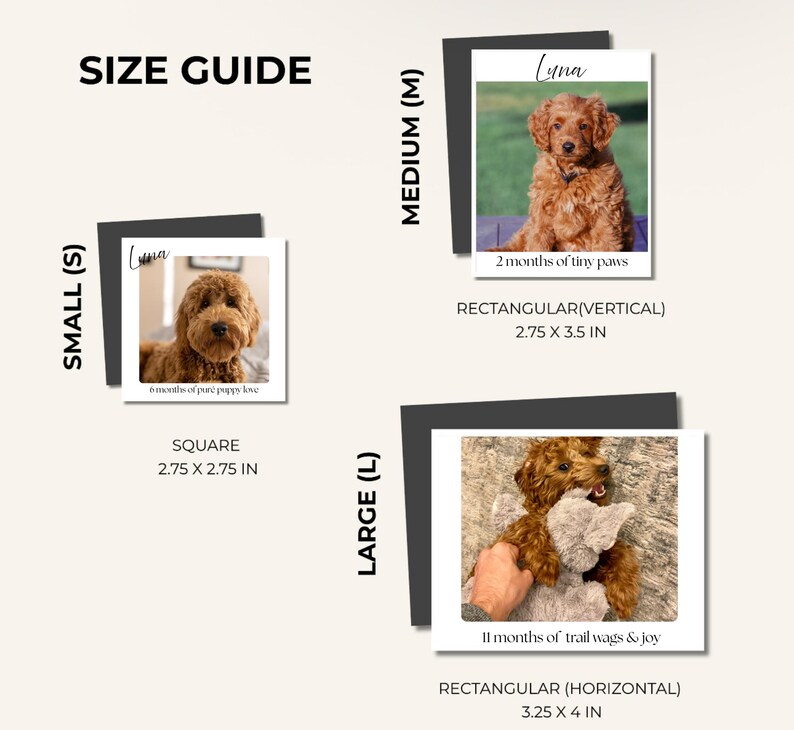 K&ouml;nnte beinhalten: Ein Gr&ouml;&szlig;enleitfaden zeigt drei Fotos von Hunden, beschriftet mit Klein, Mittel und Gro&szlig;. Das kleine Foto ist quadratisch, 7 x 7 cm, mit dem Text "6 months of pure puppy love". Das mittlere Foto ist rechteckig, 7 x 9 cm, mit dem Text "2 months of tiny paws."