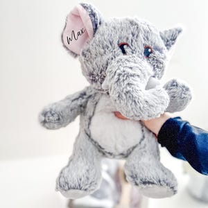 Jouet pour chien personnalisé, jouet mignon et personnalisé, cadeau unique pour chien, jouet pour chien personnalisé, cadeau pour chiots, amoureux des chiens