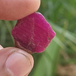 Rubino grezzo naturale non riscaldato: cristallo da 11 carati Record Keeper