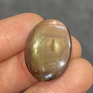 Könnte beinhalten: Ein ovaler, polierter Edelstein in Braun- und Goldtönen. Der Stein weist ein geometrisches Muster auf, das in seine Oberfläche geätzt ist. Der Edelstein wird in einer Hand vor einem neutralen Hintergrund gehalten.