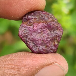 Może przedstawiać: Surowy kamień szlachetny rubinu o głębokim czerwono-fioletowym odcieniu. Powierzchnia jest teksturowana i nieregularna, ukazująca naturalne formacje. Kamień szlachetny trzymany jest między dwoma palcami, z rozmytym zielonym tłem.