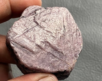 521 Carat Record Keeper Ruby | Triangle Corundum Specimen, 45x40mm