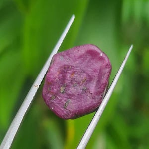 Può includere: Un rubino grezzo sfaccettato, tenuto da una pinzetta. Il rubino è di un colore rosso-rosato intenso con alcune aree più chiare e inclusioni verdi. Lo sfondo è un verde sfocato.