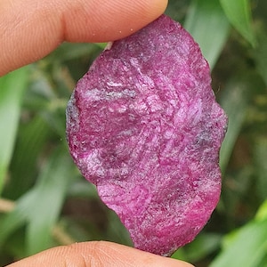 Pode incluir: Uma gema de rubi bruta e não cortada, segurada entre os dedos. O rubi é de uma cor magenta profunda e rica com uma superfície texturizada. O fundo é folhagem verde desfocada.