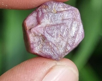 May include: A rough, uncut ruby gemstone held between fingers. The ruby has a deep pinkish-red hue with a textured surface and visible crystalline structures. The background is a blurred green.