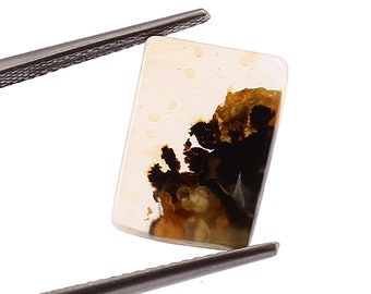 Scenic Dendritic Agate Cabochon: Flat Back Stone for Jewelry Making