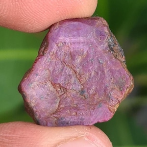 May include: A raw ruby gemstone, held between fingers. The stone has a deep pinkish-red colour, a textured surface, and natural inclusions. The irregular shape and raw appearance of the gemstone highlight its natural origin.