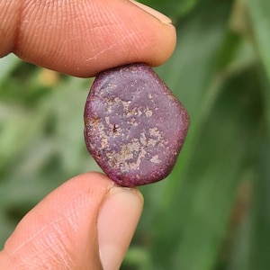 May include: A small, irregularly shaped, deep red gemstone with a slightly textured surface. The stone has patches of lighter, tan-coloured inclusions. Held between two fingers, the gem is set against a blurred green background.