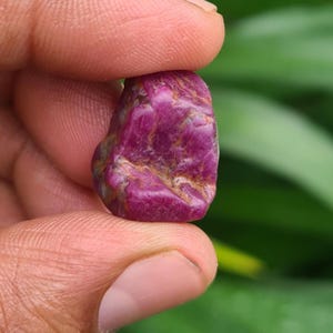 以下が含まれることがあります： 指で持たれた、未加工のルビーの原石。ルビーは濃いマゼンタ色で、より明るい筋と不規則な形をしています。背景はぼやけた緑色です。