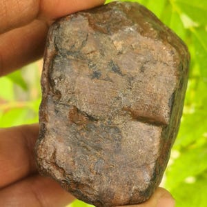 May include: A rough, brown stone with a textured surface. The stone has a mix of dark and light brown hues, with visible lines and patterns across its surface. The overall shape is irregular, with rounded edges and a natural, earthy appearance.