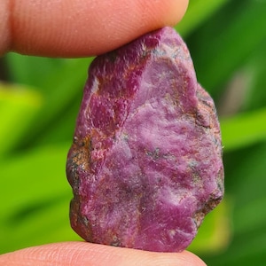 Puede incluir: Una gema de rubí en bruto y sin cortar, sostenida entre los dedos. El rubí muestra un color rojo-púrpura profundo y rico con una superficie texturizada. La piedra natural tiene una apariencia cruda y orgánica, mostrando su forma sin refinar.