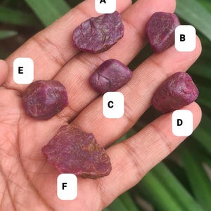 Könnte beinhalten: Eine Hand, die mehrere raue, ungeschliffene Rubin-Edelsteine hält. Die Rubine variieren in Größe und Form und zeigen eine tiefe, satte rote Farbe. Der Hintergrund ist verschwommen, mit grünem Laub sichtbar.