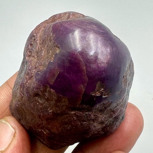 May include: A rough, uncut ruby gemstone with a deep purple hue. The surface has a natural, textured appearance with areas of lighter and darker shades. The gemstone is held in a hand, showcasing its size and shape.
