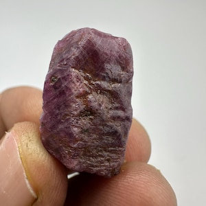 Può includere: Una gemma di rubino grezza, non tagliata, con una tonalità rosso-viola intenso. La pietra naturale ha una superficie strutturata e una forma irregolare, che mostra il suo stato grezzo e non lucidato. Il rubino è tenuto in una mano su sfondo bianco.