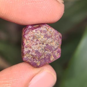 May include: A raw ruby gemstone, held between two fingers. The ruby is a deep red colour with a textured surface and flecks of gold and brown. The gemstone is irregularly shaped, showing its natural form.