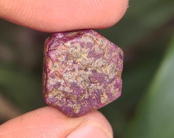 Raw Ruby Hexagon Crystal: 17 Carat Indian Gemstone