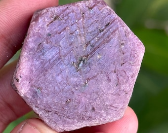 Raw Ruby Record Keeper | 377 Carat Healing Crystal Specimen