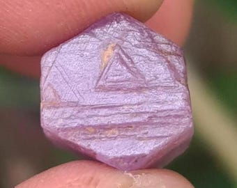 May include: A rough, uncut, hexagonal-shaped ruby gemstone. The ruby is held between two fingers and has a light purple hue with visible surface texture and a triangular marking on one face. The gemstone is a natural mineral.
