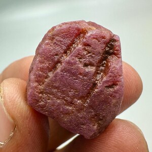 Op de afbeelding: Een ruwe, ongeslepen robijn edelsteen. De robijn heeft een diepe, rijke rode kleur met een enigszins ongelijkmatig oppervlak. De steen heeft natuurlijke lijnen en texturen, die de ruwe, ongepolijste staat laten zien. De edelsteen wordt tussen de vingers gehouden.