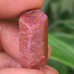 Peut inclure: Une pierre précieuse de rubis brute et non taillée, tenue entre les doigts. Le rubis est d'un rose rougeâtre profond avec une surface texturée. La pierre précieuse est de forme rectangulaire et semble naturelle.