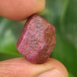 May include: A rough, uncut ruby gemstone. The ruby is held between two fingers and has a deep red color with a slightly rough texture. The background is a blurred green, suggesting a natural setting.