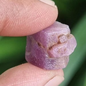 May include: A rough, uncut, purplish-pink gemstone with a textured surface. The gemstone has brown inclusions and is held between two fingers against a blurred green background. The stone is a cube shape.