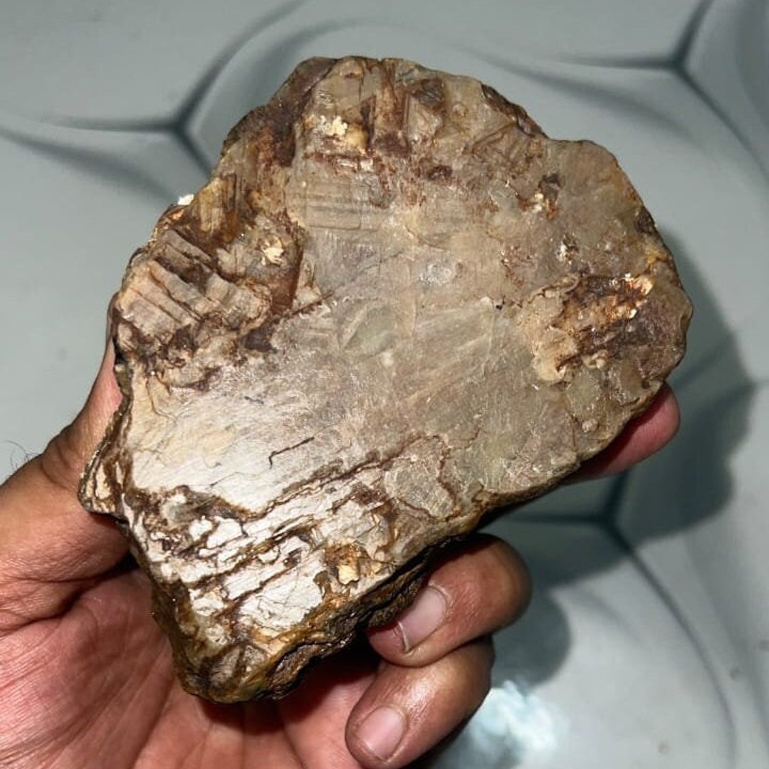 Natural Golden Sapphire Raw Uncut Golden Sapphire Golden Etsy Hong Kong