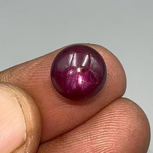 Djupröd stjärnrubin cabochon | 5 karat oval ädelsten