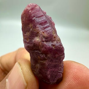 Puede incluir: Una gema de rubí en bruto, sin cortar, de color rojo intenso. La superficie de la piedra tiene un aspecto rugoso y texturizado con líneas e imperfecciones visibles. El rubí está sostenido en la mano de una persona.